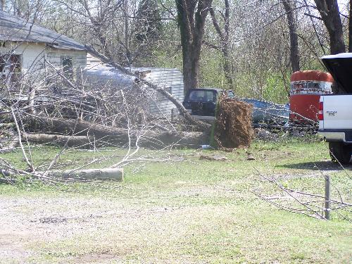 Downed Tree - This is another picture of the damages after the Muldrow, OK storm of 4/9/08.