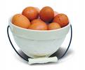 eggs - eggs in the bucket