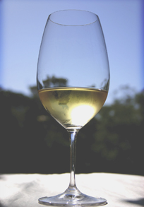wine - a glass of white wine