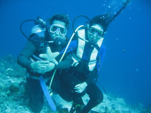 me dang and the starfish - underwater scenes with the starfish.
