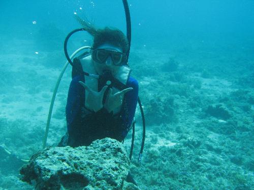 dang underwater - dang is now underwater 50ft down under.