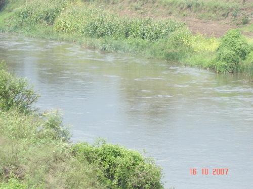 Stream - A flowing stream
