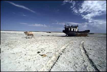 the so called aral sea - it used to be a sea once. now, it turned out to be a mere ship cemetery. 