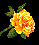 Am missing you darling.. - Mithra is missed here. Am missing you darling.. - Mithra is missed here.