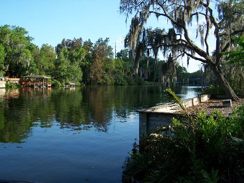 temple terrace, florida - behind the house