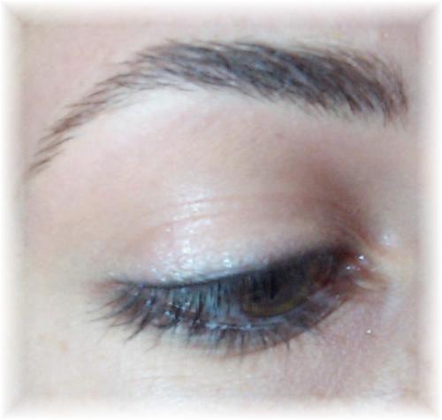 Eyebrow - This is a close-up picture of a relatively thick, but tidyed up eyebrow.