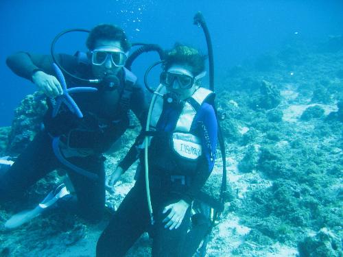 underwater photography - tatz, dang and the starfish underwater.