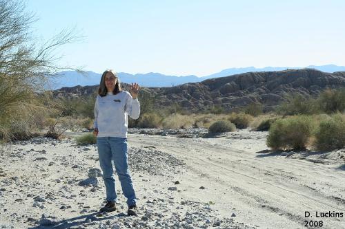 Here I am in the desert. - Here is a self-portrait of me out in the Anza-Borrego Desert.