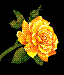 Missing Mithra - Mithra is missed by all friends in mylot