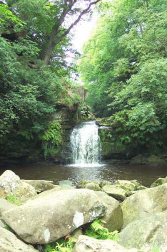 Mallyan Spout - Mallyan Spout, a waterfall in Goathland, North Yorkshire.