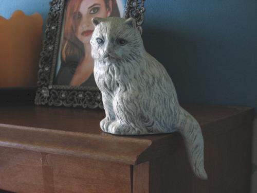 My Cat - I think I'll call him CLIFF! My Cat - I think I'll call him CLIFF!