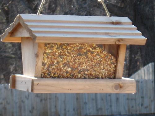 Feeder - Out front hanging from my Red Maple Tree.