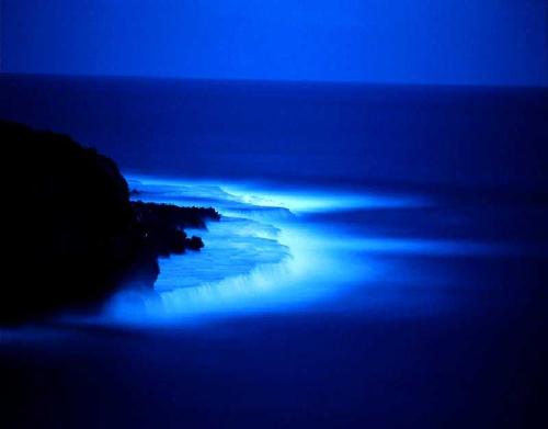 bluish nature. - beautiful blue nature.