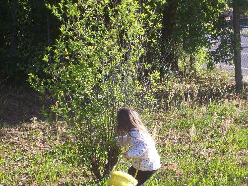 daughter picking up any trash  - We grab a beach bucket and picj up any trash out in the yard