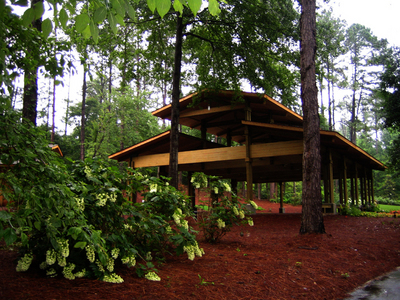 Pavillion - cool pavillion on trees