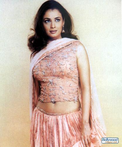 Isn't she Sexy and Gorgeous - Diya mirza in a traditional dress