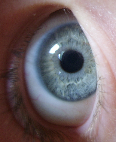 a close up of an eye - a close up of an eye i took with my camera
