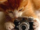 photography - amateur photographer
