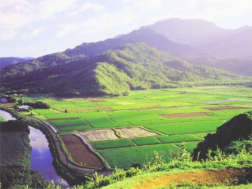 mountain, scenery, hill,  - a landscape shot of mountains and green fields