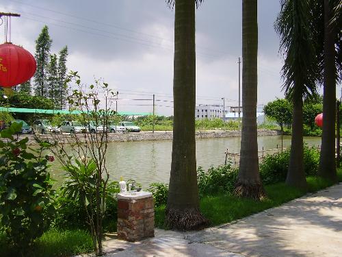 View of the Area - a view of the surrounding area