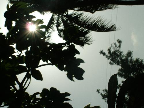 Africa - This is one of my favourite photos that I took in Africa in March 2008.