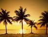 pleasent nature - calm and decent nature