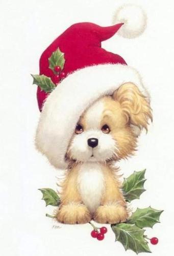 cute xmas dog - I like the dog very much