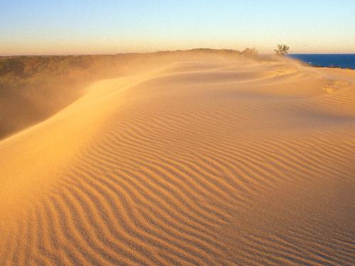 deserts  - it looks good