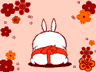 Rabbit - cute Rabbit.