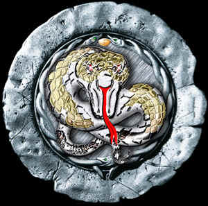 Whitesnake - Whitesnake logo,from a Tribute Bamd website.
