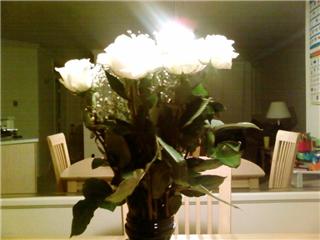 These are white roses I got for my wife - Spring time means flowers are in bloom. White roses are my wife's favorite.