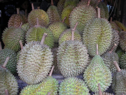 davao durian - smells like hell, taste like heaven