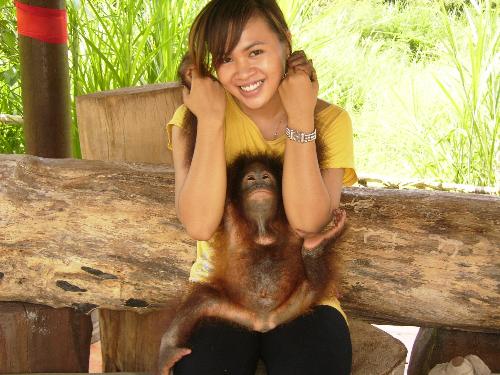 Baby orang Hutan - Baby orang Hutan and mee
