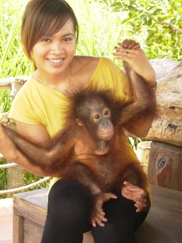 Me and Baby orang hutan part. III - Me and Baby orang hutan part. III. orangutan is adorable