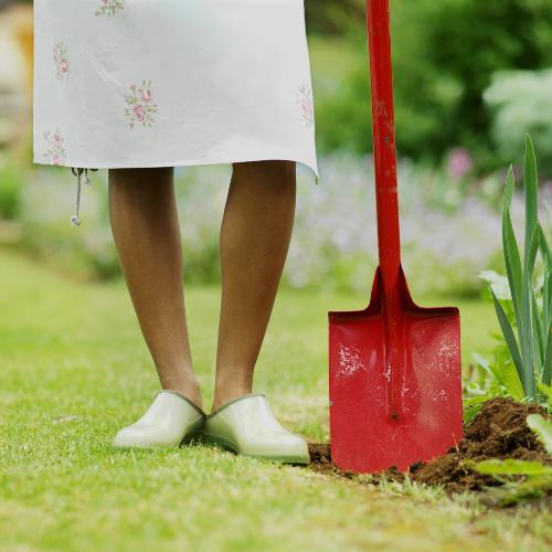 garden - gardening is good