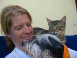 pets - loving pets like child pets - loving pets like child