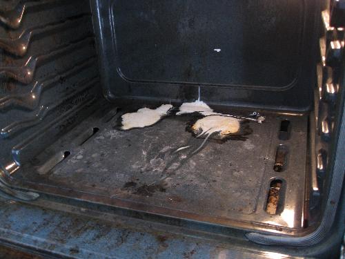 My oven..... - Here is the plastic that has melted to the bottom of my oven. I reheated it, and scraped it out, now letting the self cleaning oven try to finish it, but my house reeks of melting plastic!