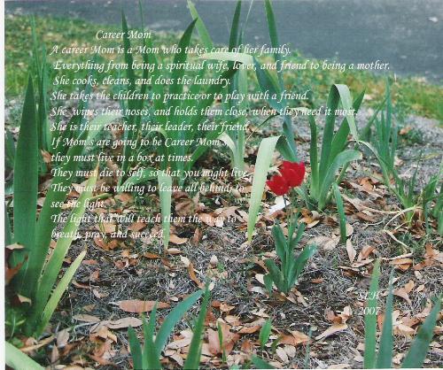 Career Moms - Career Moms is a poem that I wrote, after my son said that I live in a box.