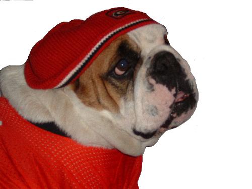 Miss Piggy - Miss Piggy in her game day gear!