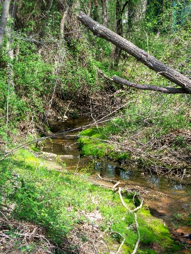 creek at dad's - A view upstream at my dad's house.