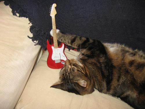 The Cat with the Strat - My mad moggie decided to play with miniature Strat