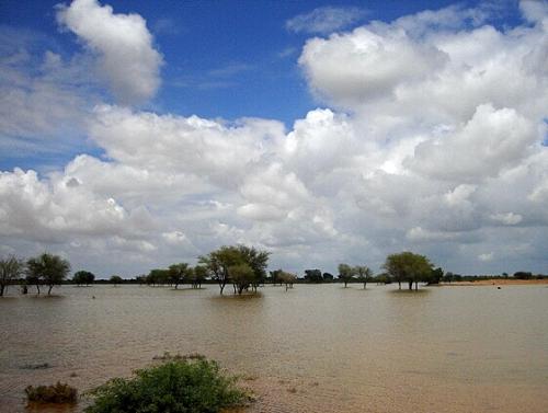 lake near my home - well its not a real lake it was made by rain water a few years back, looks like real,now a days there is no water , the pic was taken by me in 2006
