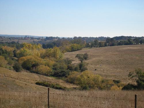 Gisborne Countryside - Gisborne countryside just out of the township...2008