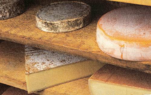 Chease - Many kind's of chease.