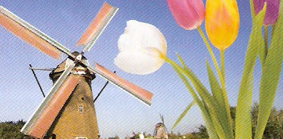 Wind station - A wind station and tulip.