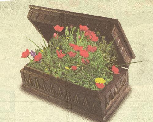 Flowers - A box with flowers
