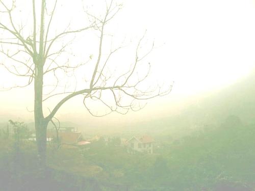 Hill station - A misty morning on a hill station.