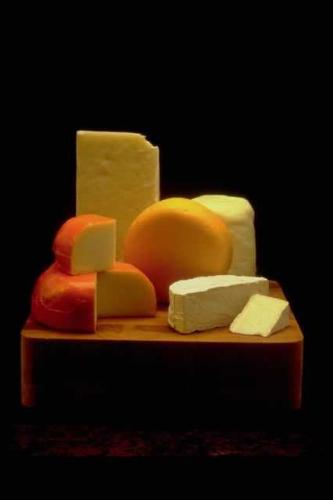 Cheese - A variety of delicious cheeses