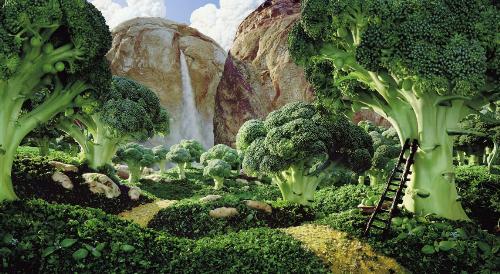 Forest of Broccoli - All trees in the forest are made of broccoli and pea,the mountains are made of black bread,and white sugar maked the waterfall.