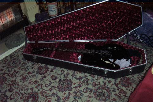 Guitar - Our latest addition